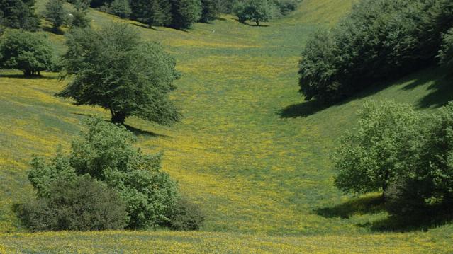 Walking on Mount Subasio - Assisi